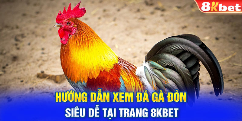 Hướng dẫn xem đá gà đòn siêu dễ tại trang 8KBET